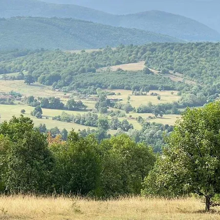 светулките Fireflies 4*