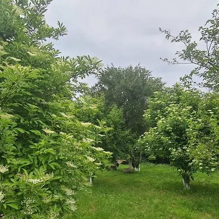 Penzion светулките Fireflies