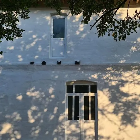 招待所 светулките Fireflies