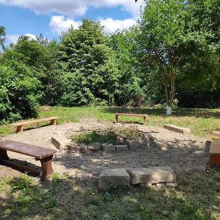 светулките Fireflies Pensiune