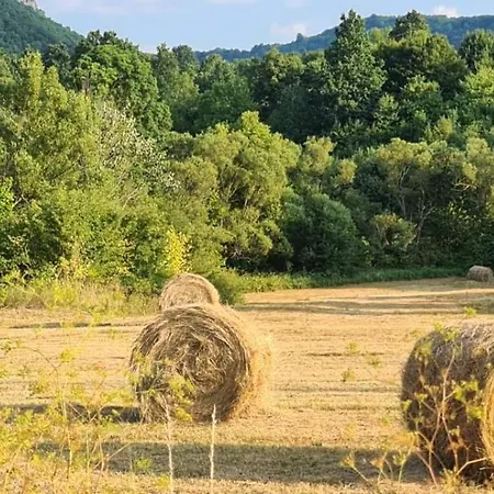 светулките Fireflies Pensiune Borintsi