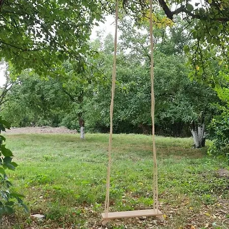 светулките Fireflies Pensiune Borintsi