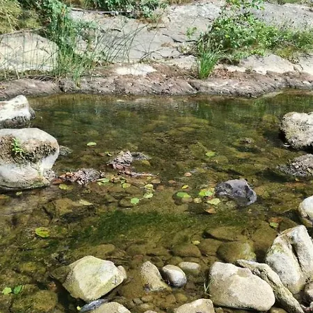 светулките Fireflies 4*