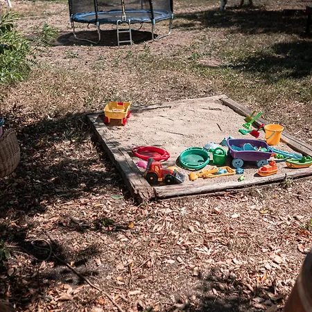 светулките Fireflies