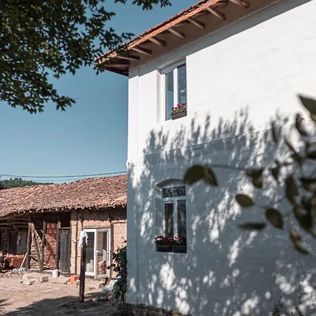 светулките Fireflies Pensiune Borintsi