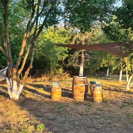 светулките Fireflies Borintsi