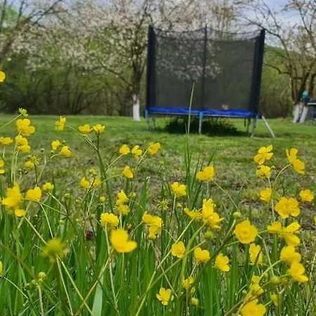 светулките Fireflies Pensiune Borintsi