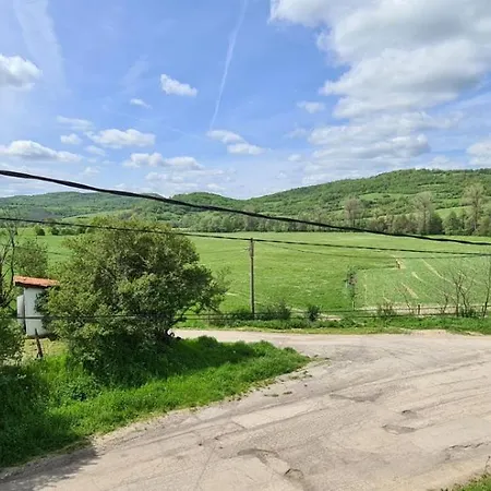 светулките Fireflies 4*