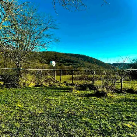 招待所 светулките Fireflies Borintsi