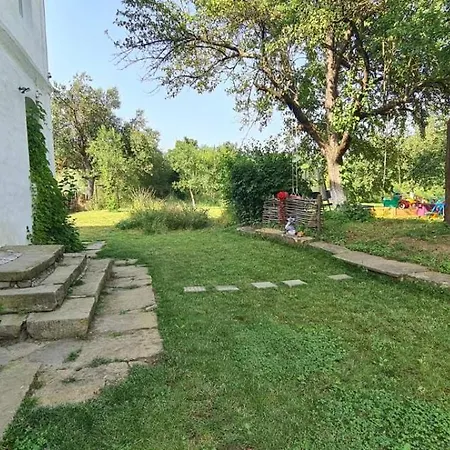 светулките Fireflies 4*